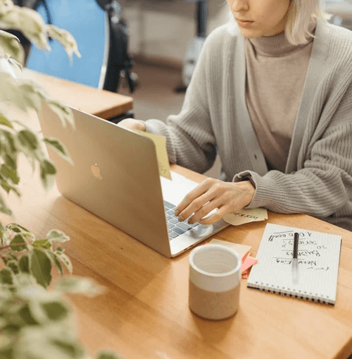 MareliumPro illustrazione del team di supporto